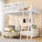 Loft Bed With Ladder,Storage Shelves-1174920126-1199674329