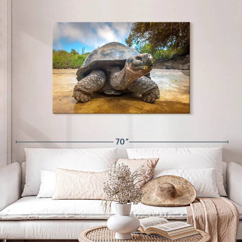 Tortue des Galapagos, H 30 po x l 45 po