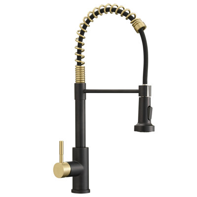 Robinet d'évier de cuisine à poignée simple Topcraft