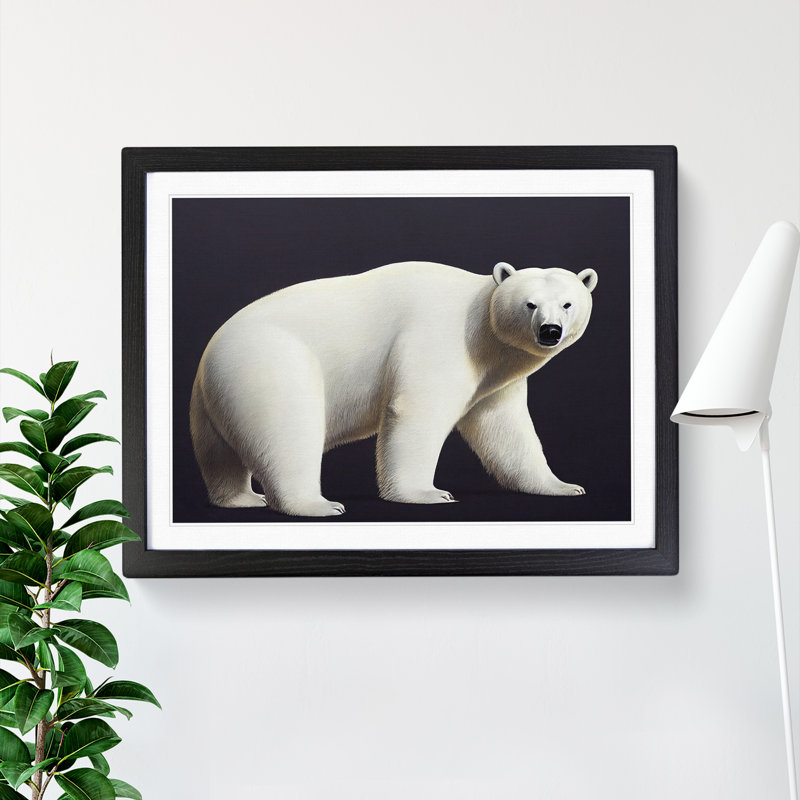 The Enticing Polar Bear - Single Picture Frame Print, Black, 46cm H x 64cm W
