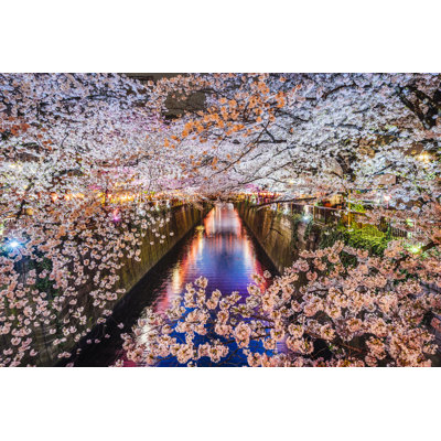 Cherry Blossoms - Wrapped Canvas Print