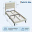 Structure de lit tapissier en velours avec tête de lit et rangement sous le lit, sans sommier, support de lattes en bois silencieux-628036303-628036290