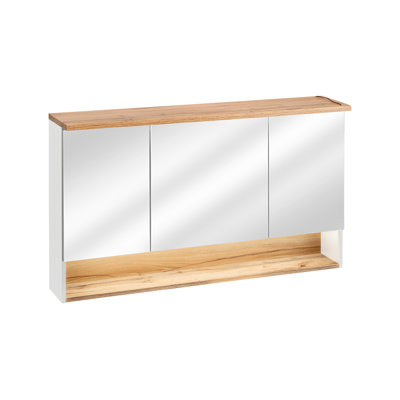 India-Rachel Surface Framed Mirrored Medicine Cabinet and 3