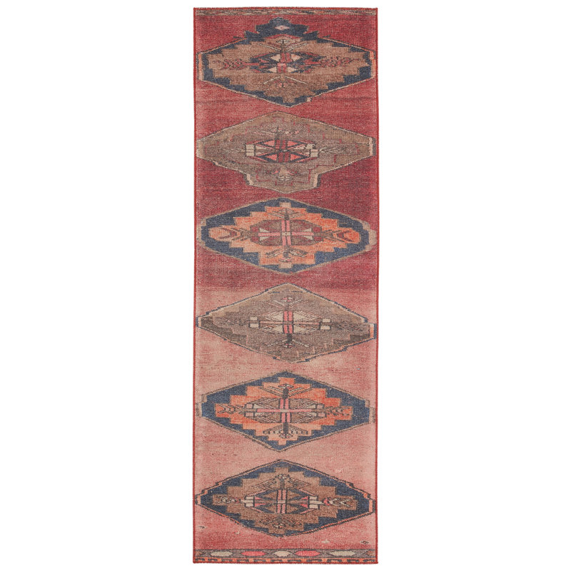 Asuncin Polyester Machine Washable Performance Rug, Runner 2'6" x 10'