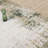 Abani Rugs Meidinger Beige with Green Border Area Rug-1299546331