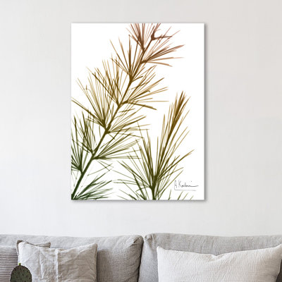 Autumn Sequoia - Wrapped Canvas Print