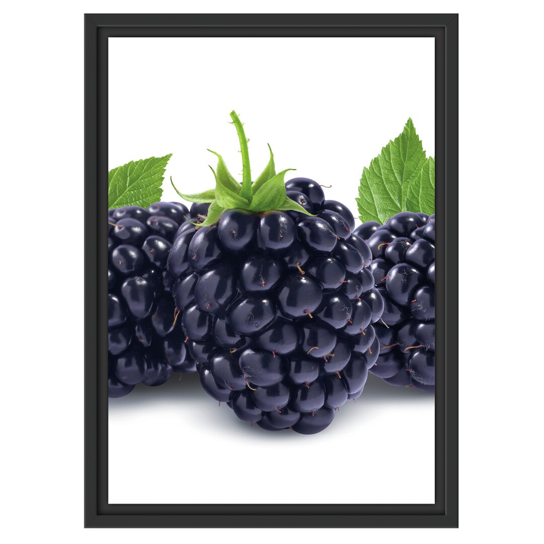 Gerahmtes Wandbild Leckere Brombeeren