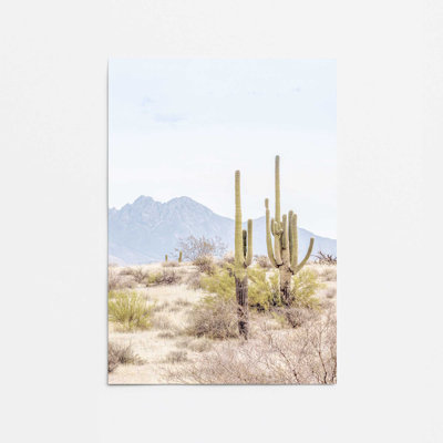 Mountain Cactus Scene Rolled Print