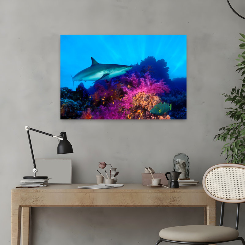 Caribbean Reef Shark Carcharhinus Perezi And Soft Corals In The Ocean Abstract Contemporary Art, 16" H x 24" W