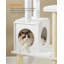 165cm H Cat Tree-105753193
