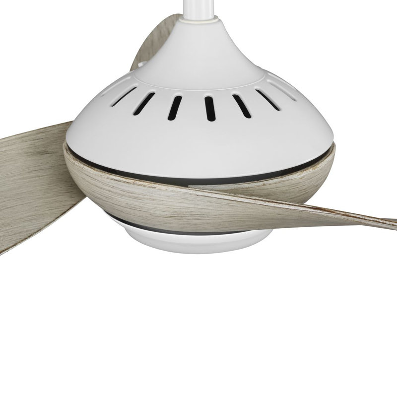 Conte 52'' Ceiling Fan with LED Lights, Washed Oak, Satin White