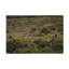 Art sur toile, bolognaise, Bob Langrish-104137102