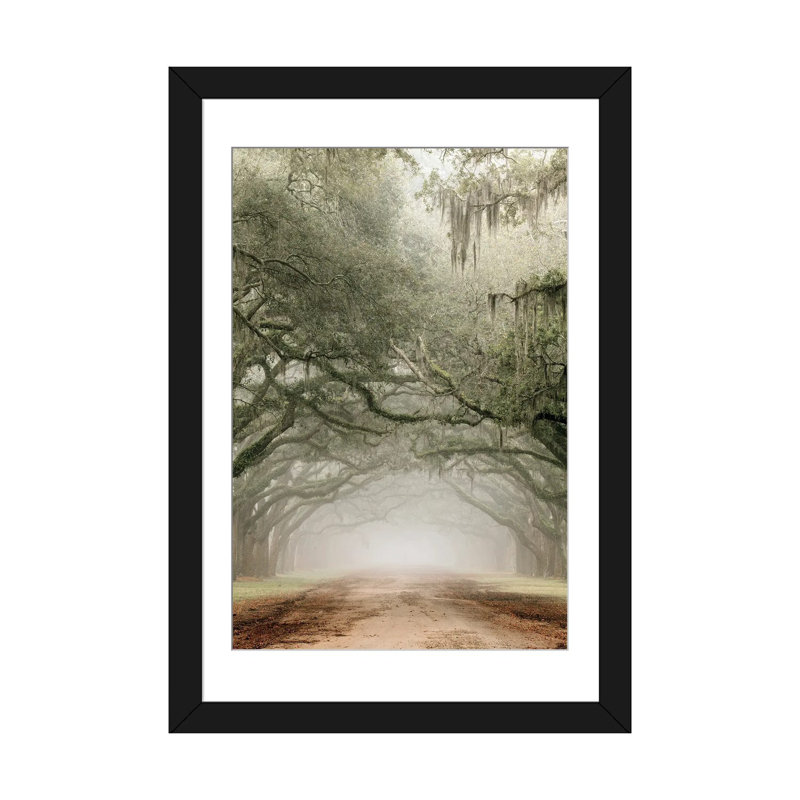 Plantation Drive, Black Open Corner Frame Paper, 32" H x 24" W x 1" D