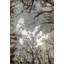 Tapis oriental contemporain à motif végétal noué à la main 8 x 10