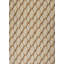 Geometric Area Rug in Beige