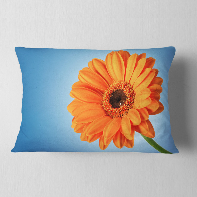 Coussin Orange
