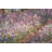 Cotton Blend Pillow Cover