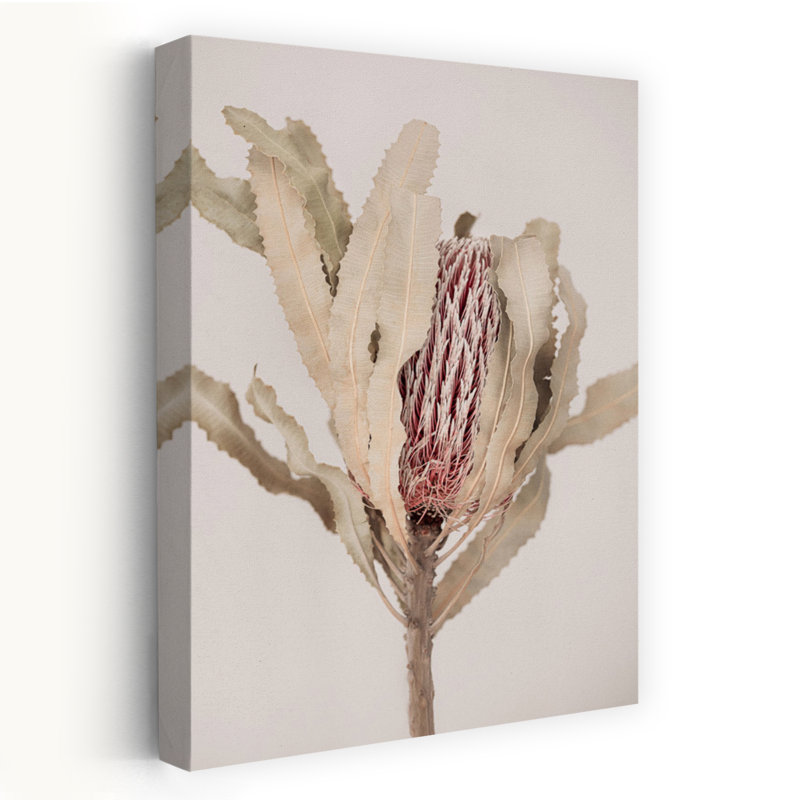 Print, 45.72cm H x 30.48cm W