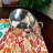Oster Sangerfield 6 Qt. Stainless Steel Multi-Pot with Steamer Insert and Lid
