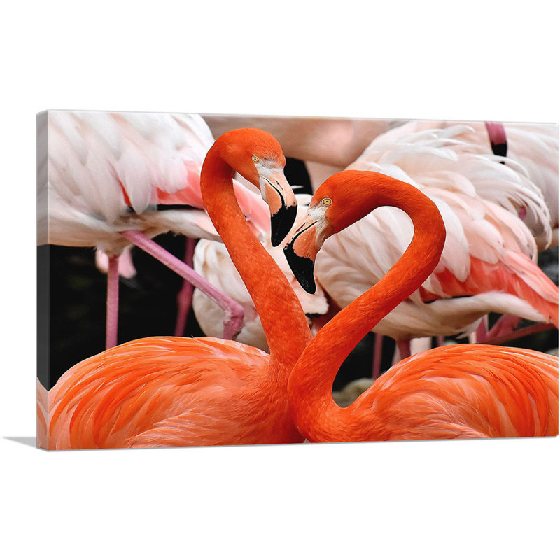 Flamants roses Home Decor - reproduction de photo sur toile tendue, H 18 po x l 26 po x P 0,75 po