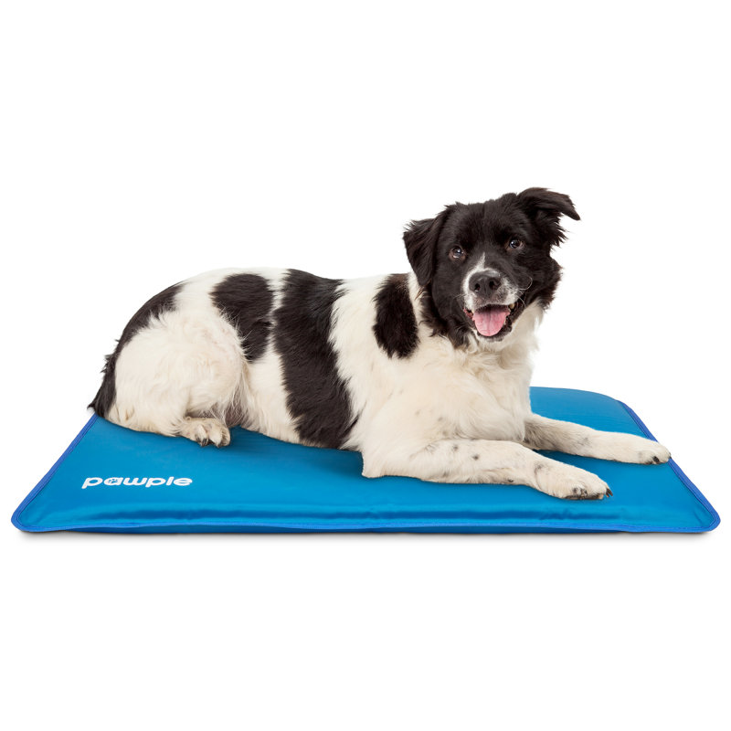 Pawple Blue Medium Cooling Mat for Dogs with Foam Base