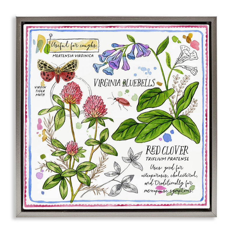 "Wild Herbs", art mural encadré sur toile flottante par Jane Maday, Cadre flottant gris lustré, H 25 po x l 25 po