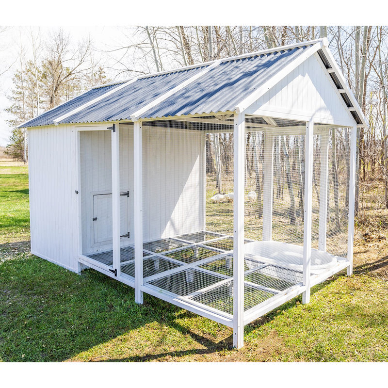 Zylina Modern Duck Barn