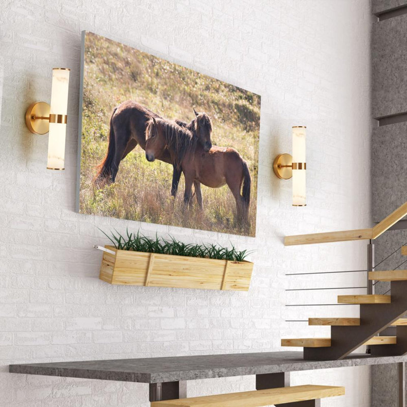 2 Piece Wall Sconce (Gold)