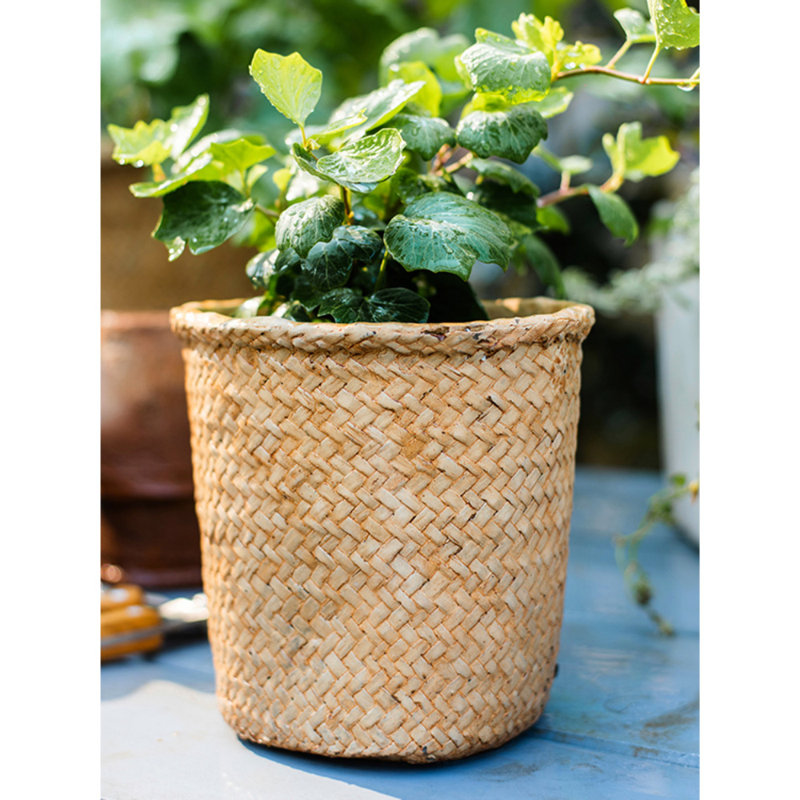 Leopoldo Handmade Pot Planter, 6.7" H x 6.3" W x 4.7" D