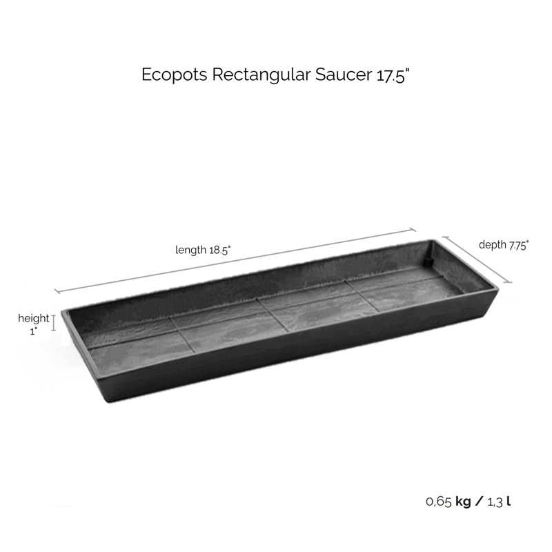 Saucer Plant Stand