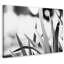Morgan J Hartley - Wrapped Canvas Print-1802737783