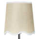 Ariel Single Light Dimmable Armed Sconce