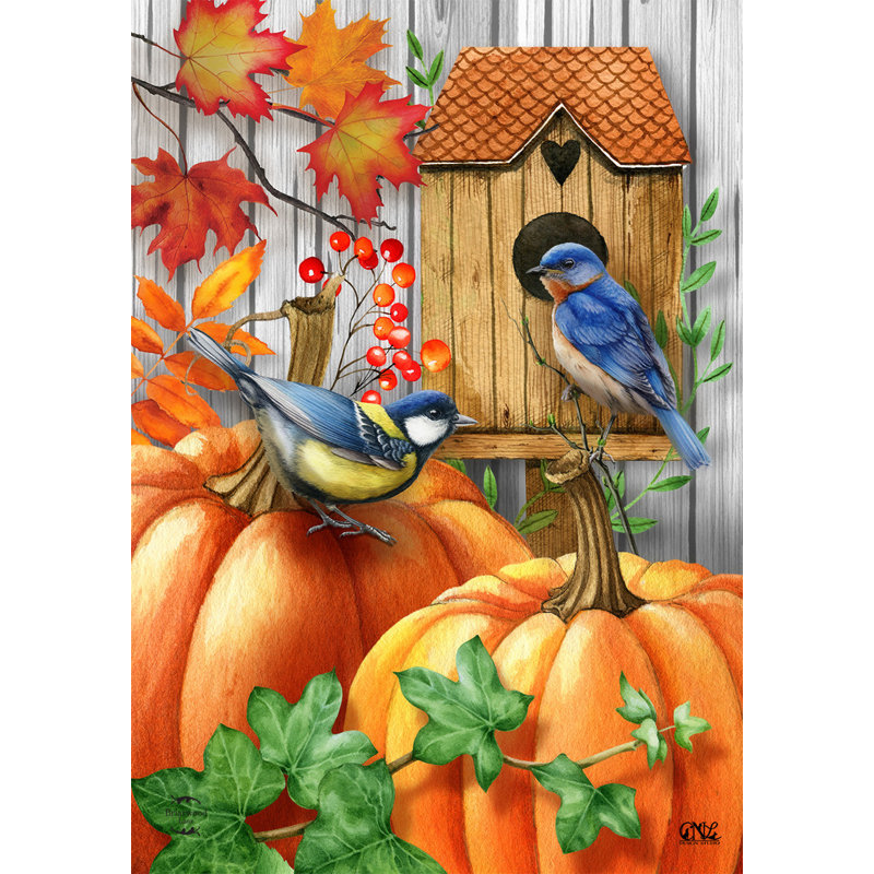 Fall Beauty Birds House Flag