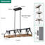 Rodnisha 4-Light Farmhouse Kitchen Island Light