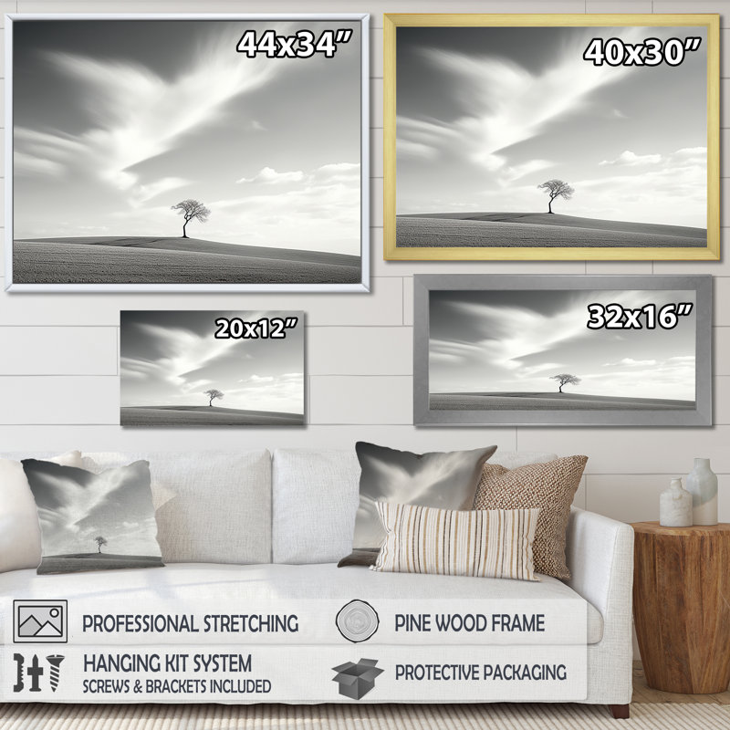 Black And White Solitude Tree In Meadow - Trees Canvas Print, Toile tendue, 24" H x 32" W x 1" D