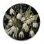 Horloge murale Somnus-162555108
