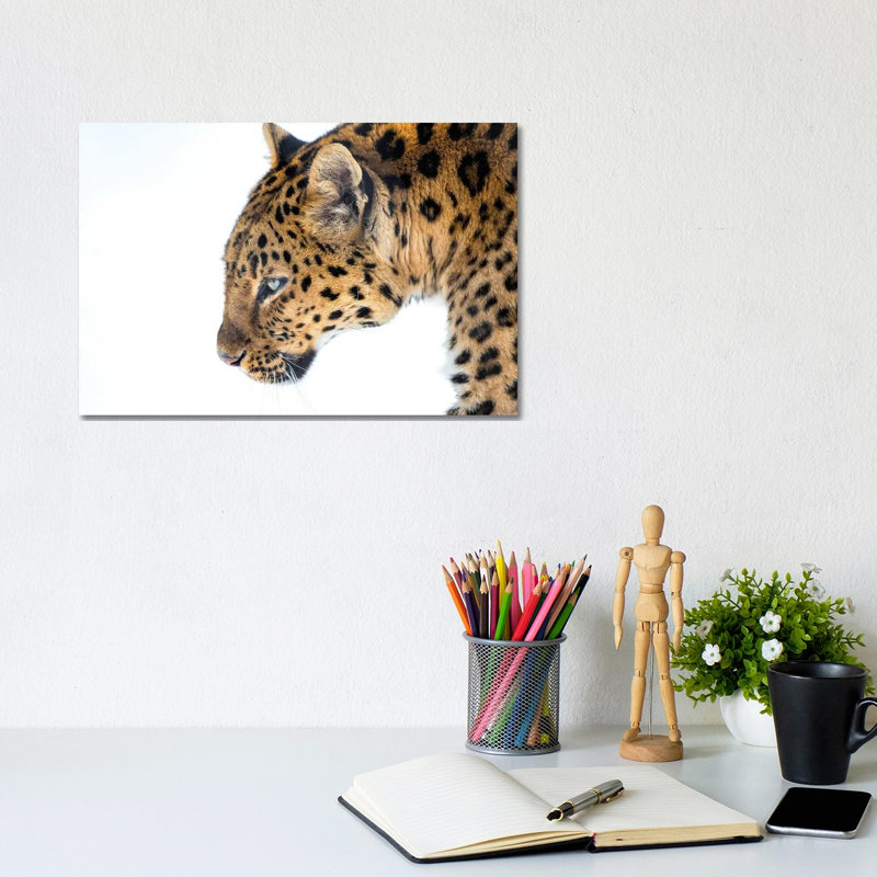 Big Cat by David Gardiner - Wrapped Canvas Print, 20.32cm H x 30.48cm W
