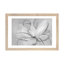 Transparent Transparent III - noir et blanc-2023587168-2023587195