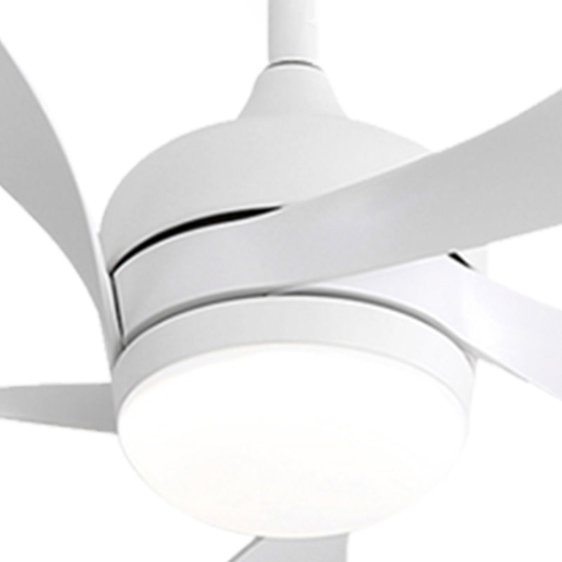 Nasier 5 pales courbées blanches et ventilateur de plafond blanc avec éclairage