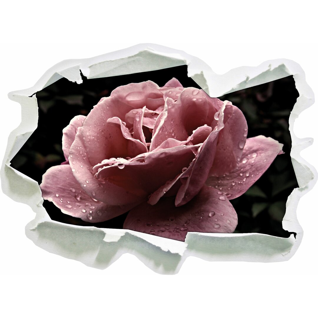 Zarte rosa Rose Blume Wandaufkleber