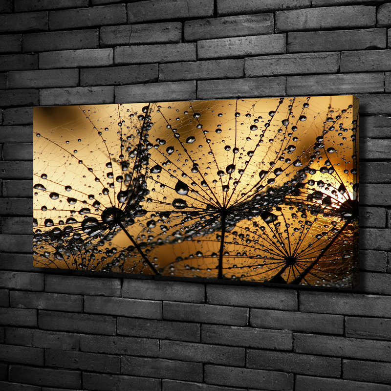 Dandelion Seeds 1 Piece Wall Art on Canvas