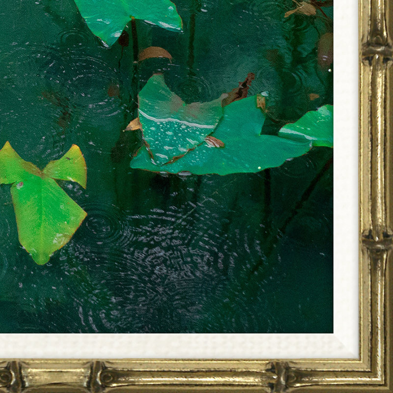 Koi on Emerald Framed Photographic Print, 18" H x 22" W x 0.75 " D