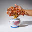 Genuine Carnelian Bonsai Tree In Round Ceramic Pot (9€ Tall)
