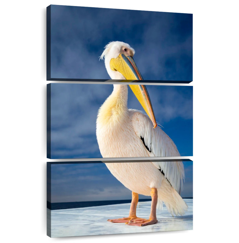Brampt Shy Pelican, 32" H x 20" W