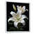 Cadre flottant blanc