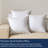 100% Cotton Shell Soft Fluffy Feather Down Throw Pillow Inserts(Set of 2)-111634939