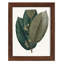 Fall Foliage I, reproduction d'art encadrée-937330366-937330346