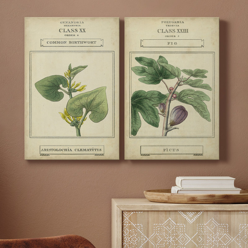 Linnaean Botany V, toile tendue avec châssis de qualité supérieure - prête à être accrochée, H 27 po x l 16 po x P 1 po