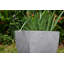 Jardinières en pot-420575516
