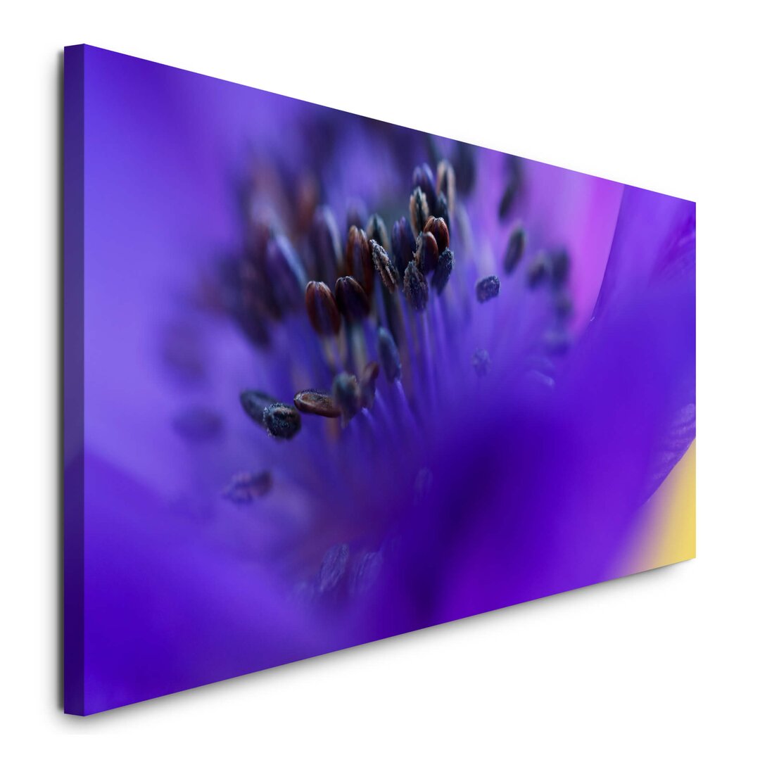 Leinwandbild Makro von einer Blume